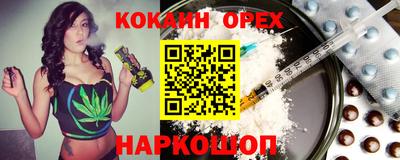 стаф Новозыбков