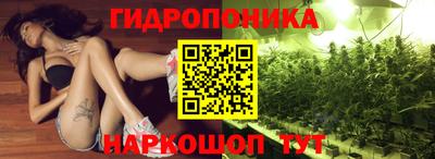 стаф Новозыбков