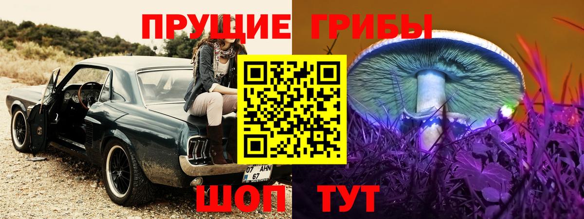 Псилоцибиновые грибы Psilocybe Урай